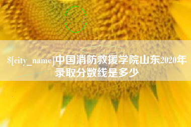 海东中国消防救援学院山东2020年录取分数线是多少