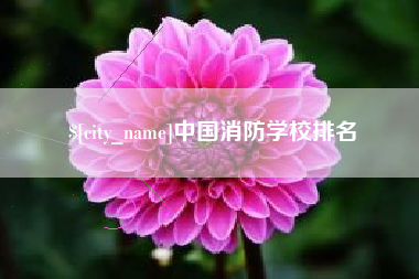 海东中国消防学校排名