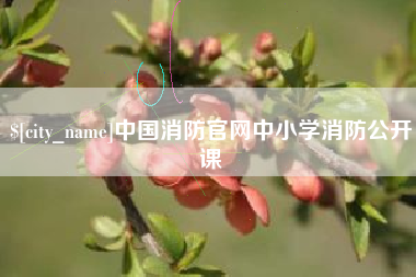 海东中国消防官网中小学消防公开课