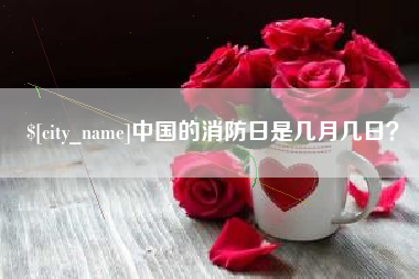 海东中国的消防日是几月几日？