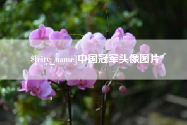 海东中国冠军头像图片