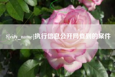 海东执行信息公开网查到的案件