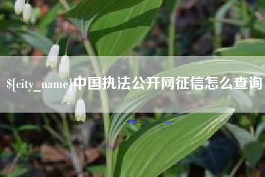 海东中国执法公开网征信怎么查询