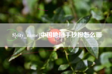 海东中国地图手抄报怎么画