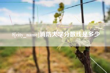 海东消防大学分数线是多少