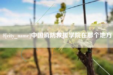 海东中国消防救援学院在那个地方