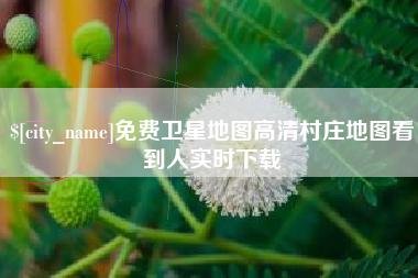 海东免费卫星地图高清村庄地图看到人实时下载