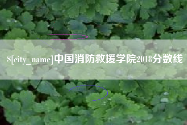 海东中国消防救援学院2018分数线