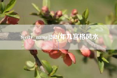 海东2021年九宫格风水