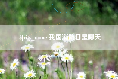 海东我国消防日是哪天