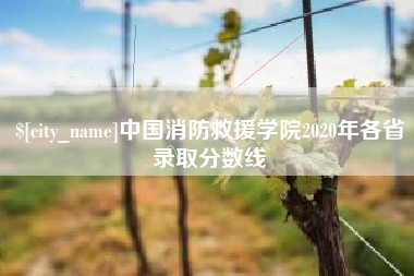 海东中国消防救援学院2020年各省录取分数线
