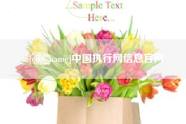 海东中国执行网信息官网