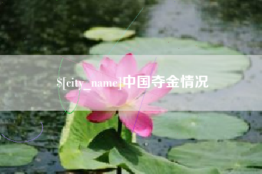 海东中国夺金情况
