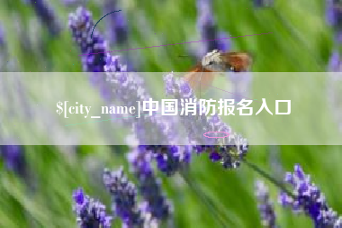 海东中国消防报名入口