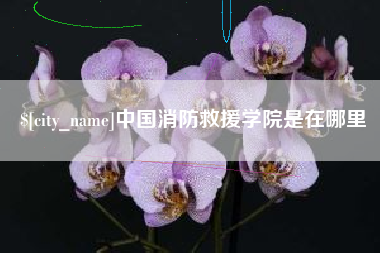 海东中国消防救援学院是在哪里