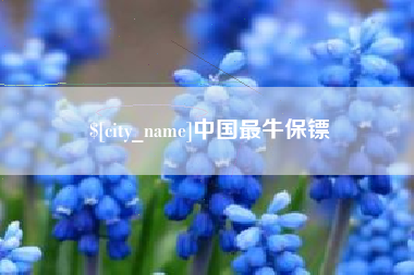 海东中国最牛保镖