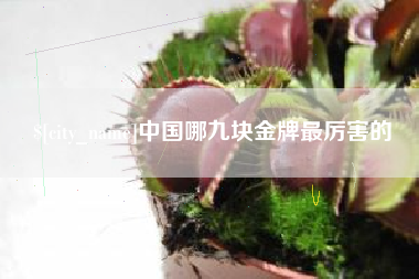 海东中国哪九块金牌最厉害的