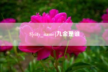 海东九金是谁