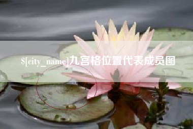 海东九宫格位置代表成员图