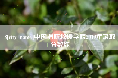 海东中国消防救援学院2019年录取分数线