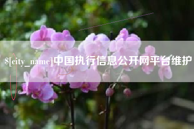 海东中国执行信息公开网平台维护