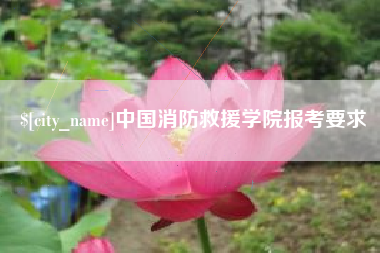海东中国消防救援学院报考要求
