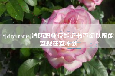 海东消防职业技能证书查询以前能查现在查不到