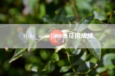 海东5000米及格成绩