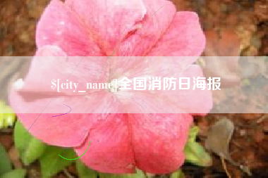 海东全国消防日海报