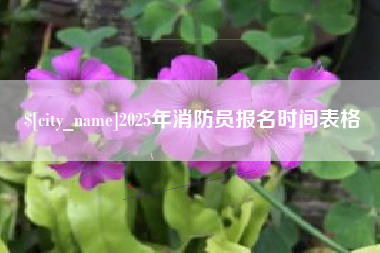 海东2025年消防员报名时间表格