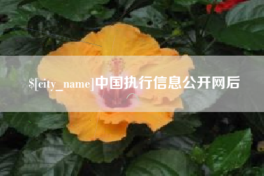 海东中国执行信息公开网后