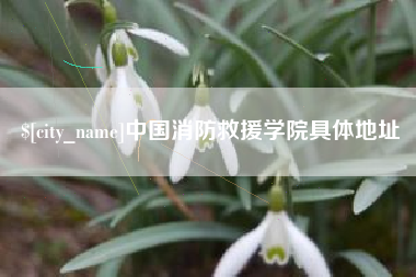 海东中国消防救援学院具体地址