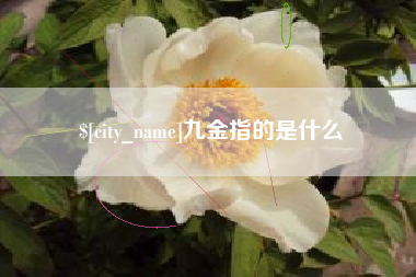 海东九金指的是什么