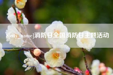 海东消防日全国消防日主题活动