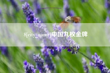 海东中国九枚金牌