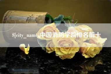 海东中国消防学院排名前十