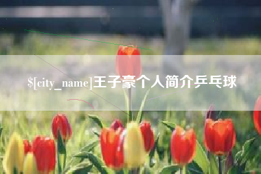 海东王子豪个人简介乒乓球