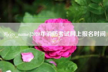 海东2020年消防考试网上报名时间