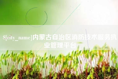 海东内蒙古自治区消防技术服务执业管理平台