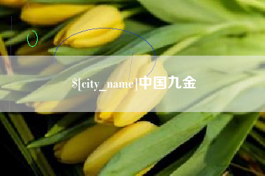 海东中国九金