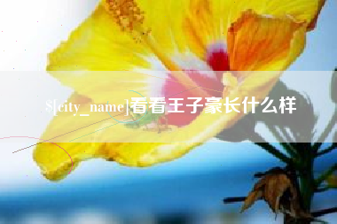 海东看看王子豪长什么样