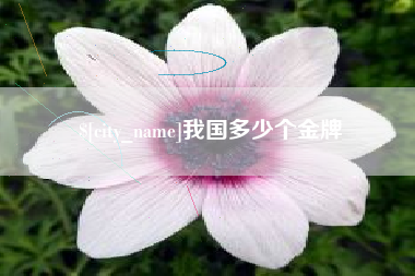 海东我国多少个金牌