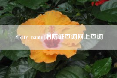 海东消防证查询网上查询