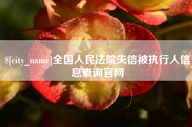 海东全国人民法院失信被执行人信息查询官网