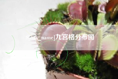 海东九宫格分布图