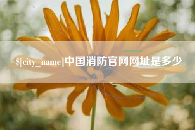 海东中国消防官网网址是多少