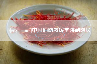 海东中国消防救援学院副院长