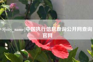 海东中国执行信息查询公开网查询官网
