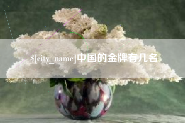 海东中国的金牌有几名
