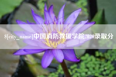海东中国消防救援学院2020录取分